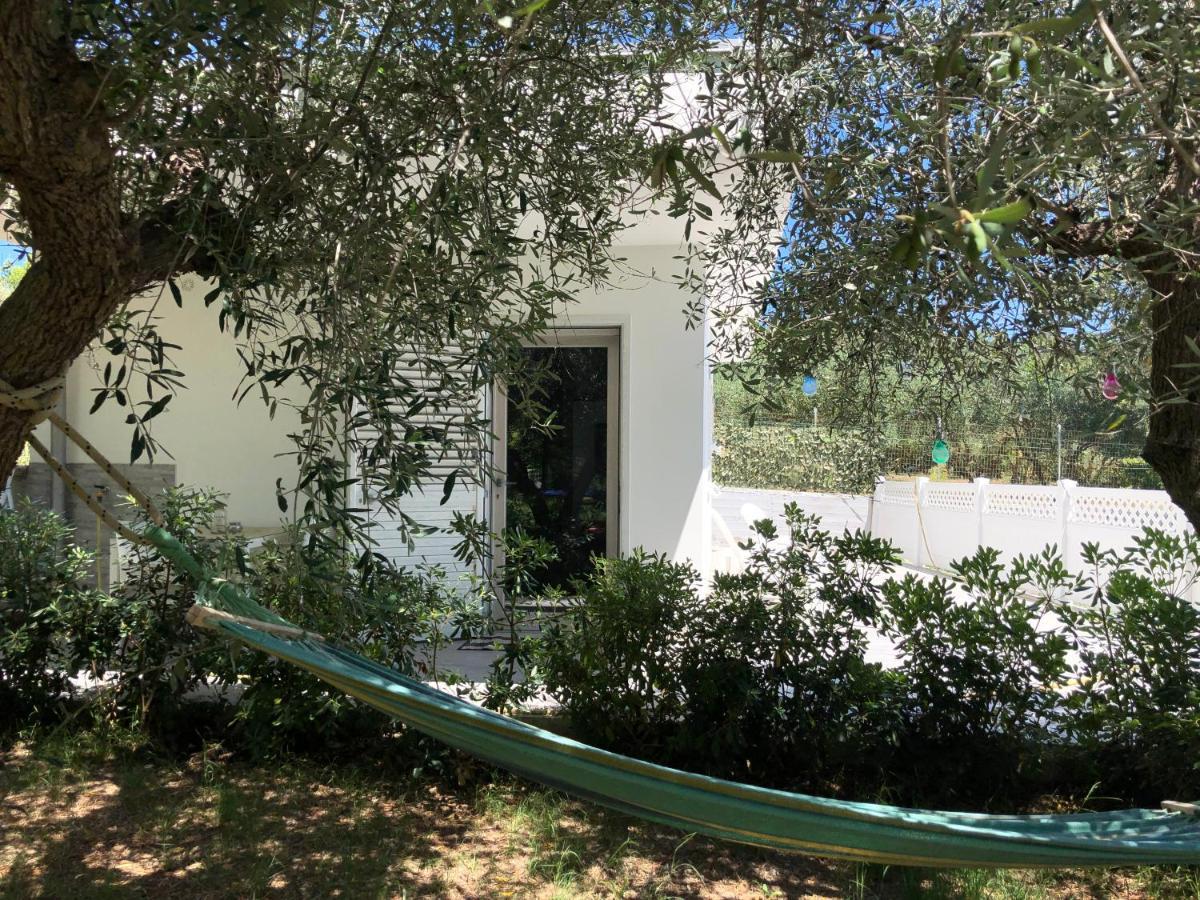 La Casetta Tra Sassi E Ulivi B&B Matera Zewnętrze zdjęcie